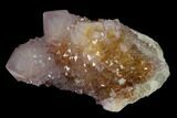 Cactus Quartz (Amethyst) Crystal Cluster - South Africa #137752-1
